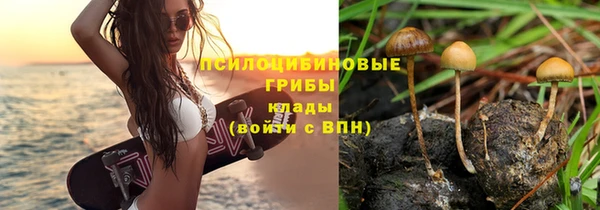 хмурый Баксан
