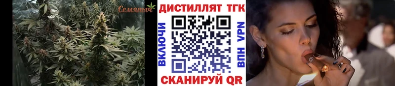 Дистиллят ТГК жижа  купить   KRAKEN   Грязовец 