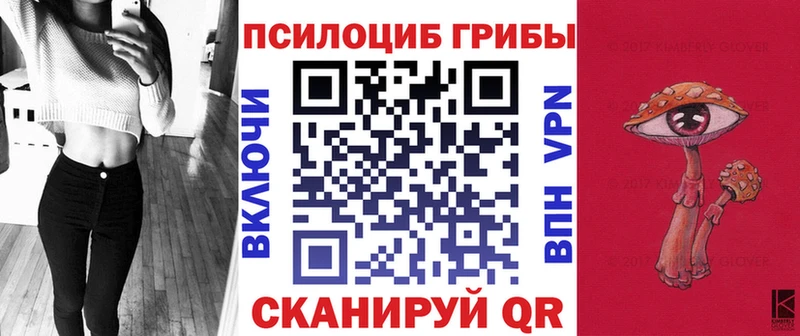 Галлюциногенные грибы Cubensis  что такое   Грязовец 