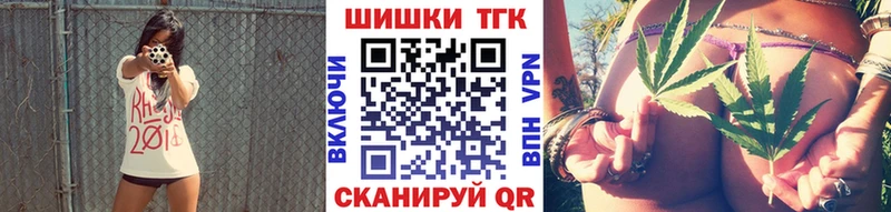 Конопля сатива Грязовец